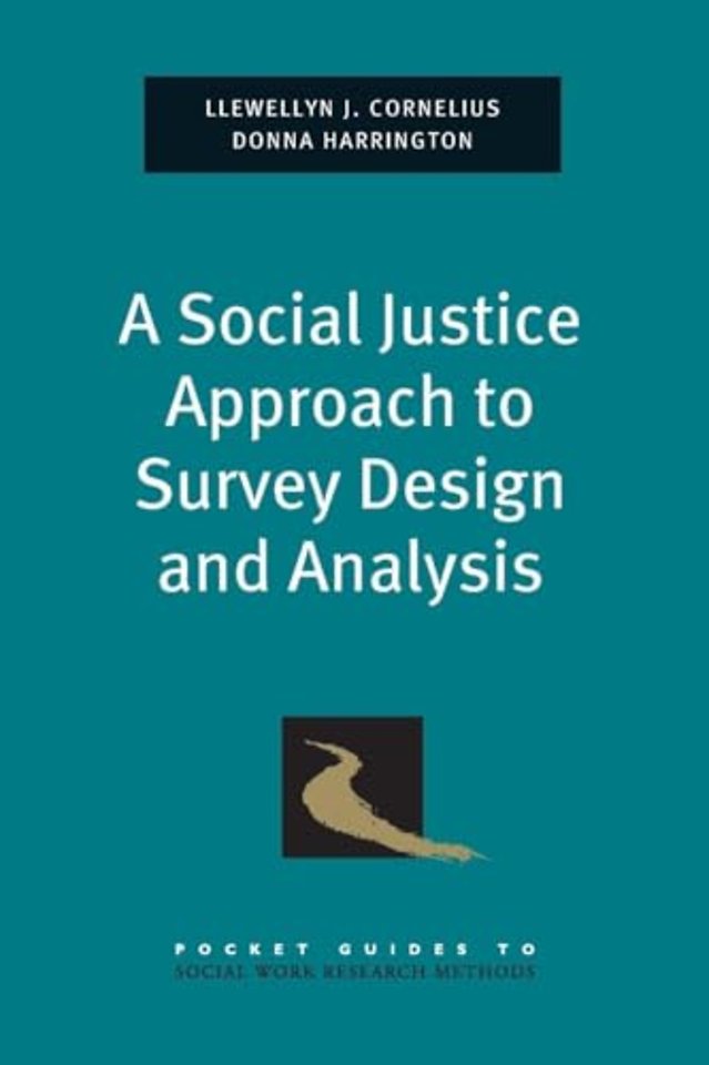 A Social Justice Approach to Survey Design and Analysis