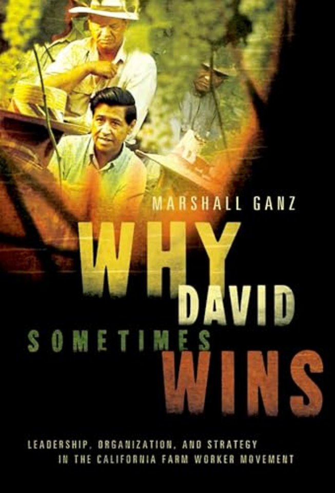 Why David Sometimes Wins