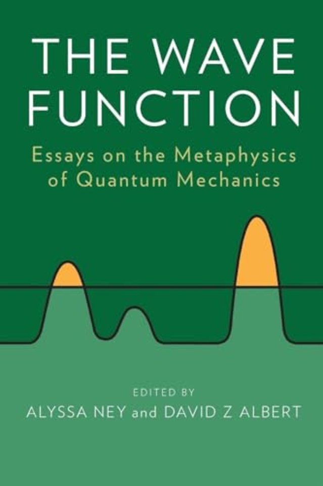 The Wave Function