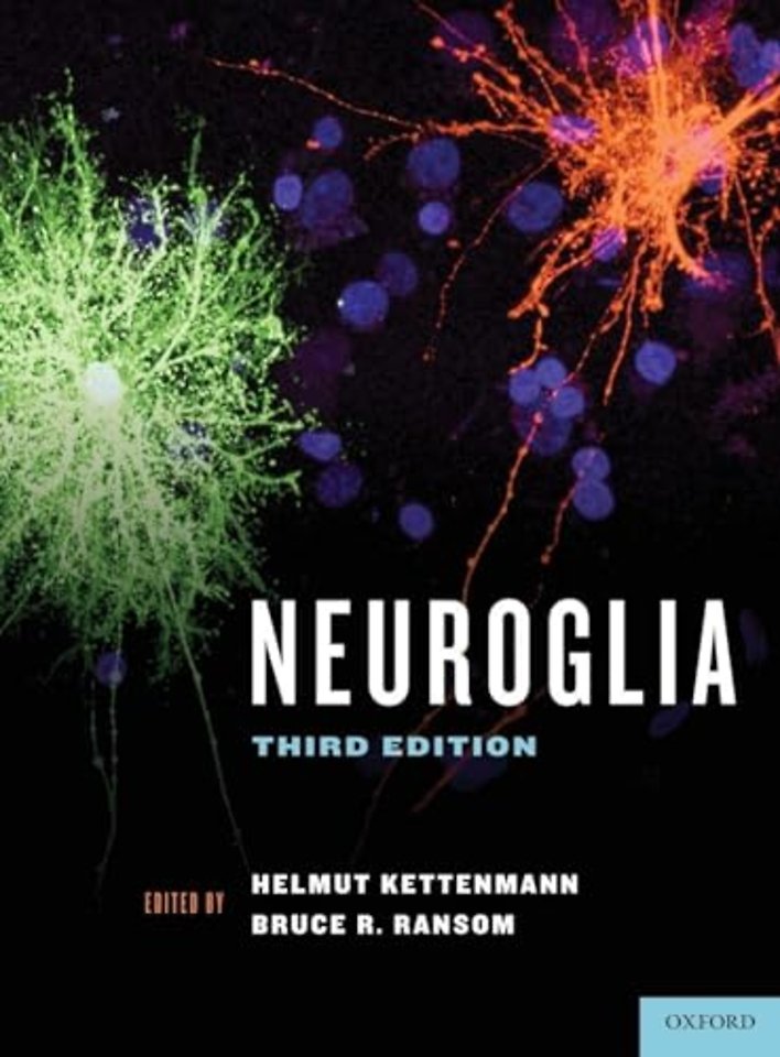 Neuroglia