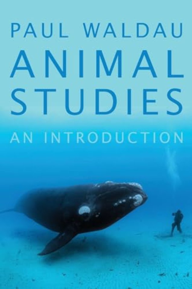 Animal Studies