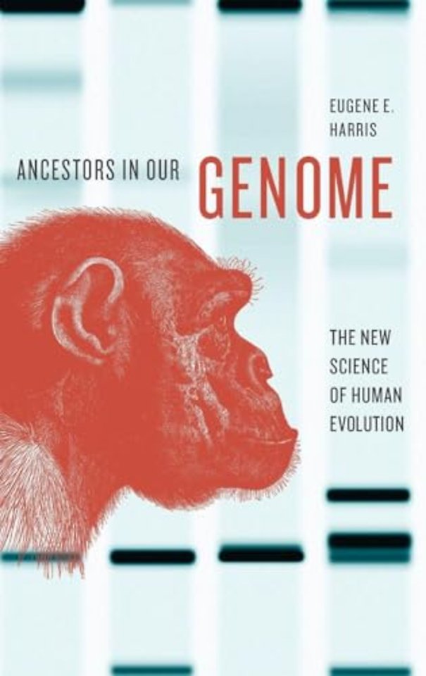 Ancestors in Our Genome