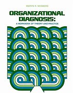 Organizational Diagnosis