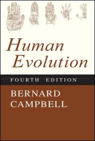 Human Evolution