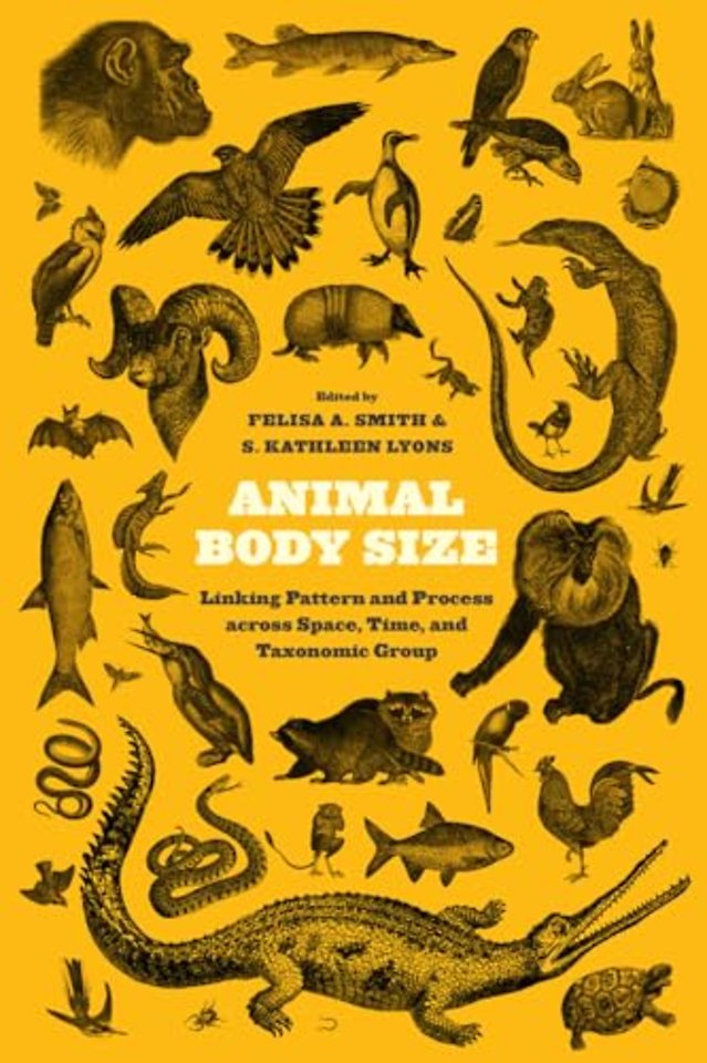 Animal Body Size