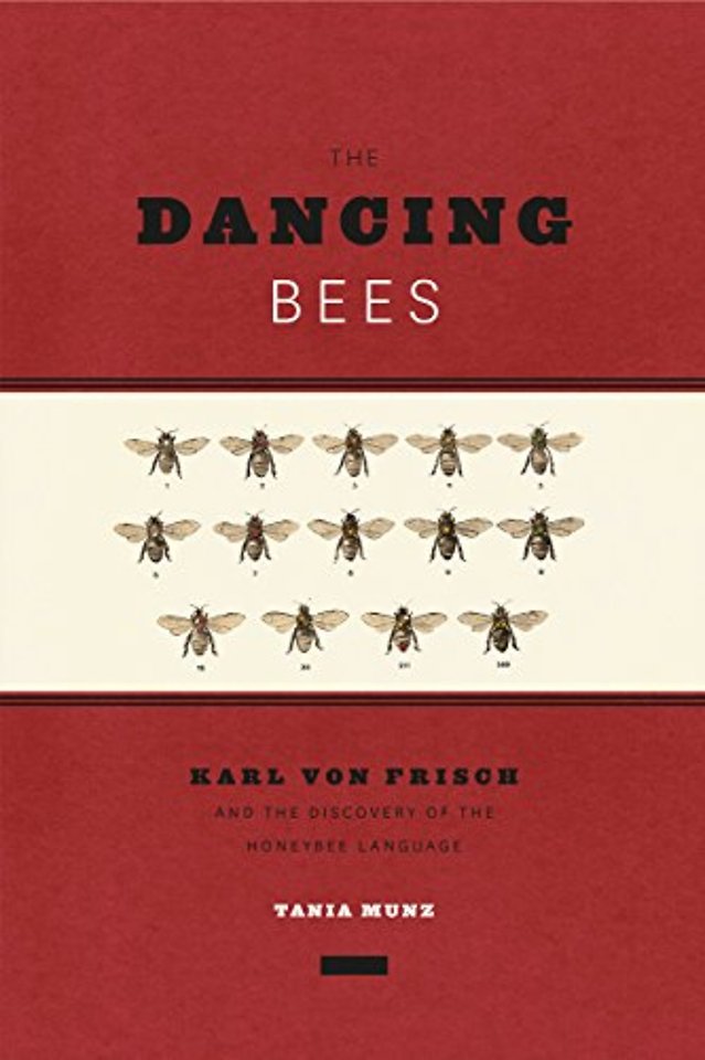 The Dancing Bees