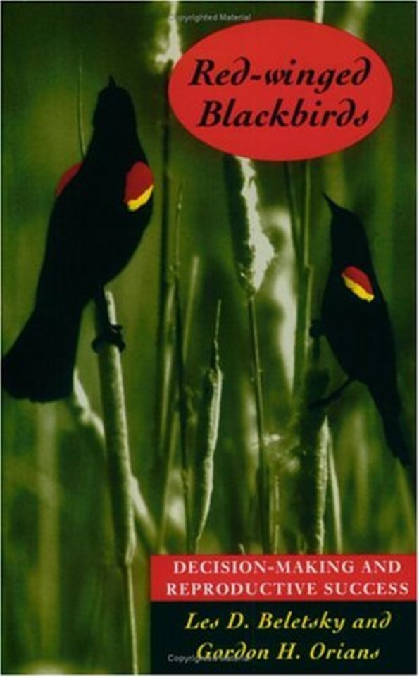 Red-winged Blackbirds