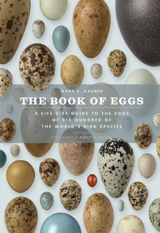 The Book of Eggs – A Life–Size Guide to the Eggs of Six Hundred of the World`s Bird Species