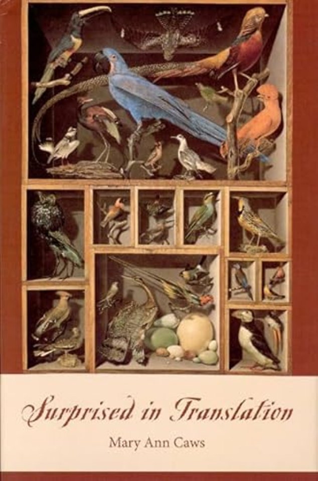 Surprised in Translation