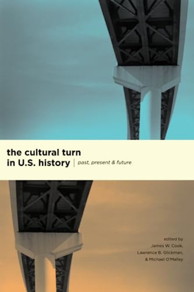 The Cultural Turn in U. S. History