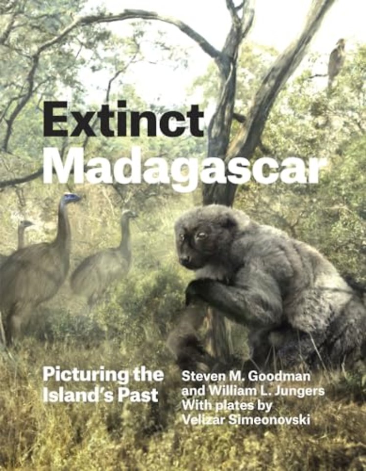 Extinct Madagascar
