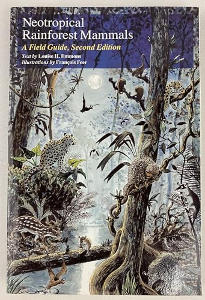 Neotropical Rainforest Mammals
