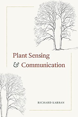 Plant Sensing and Communication