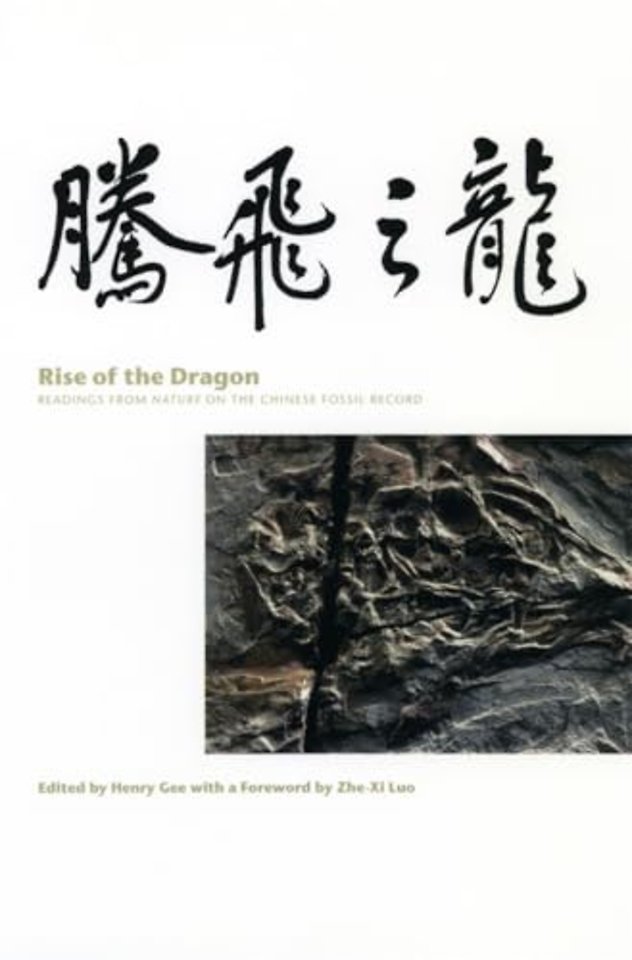 Rise of the Dragon – Readings from Nature on the Chinese Fossil Record