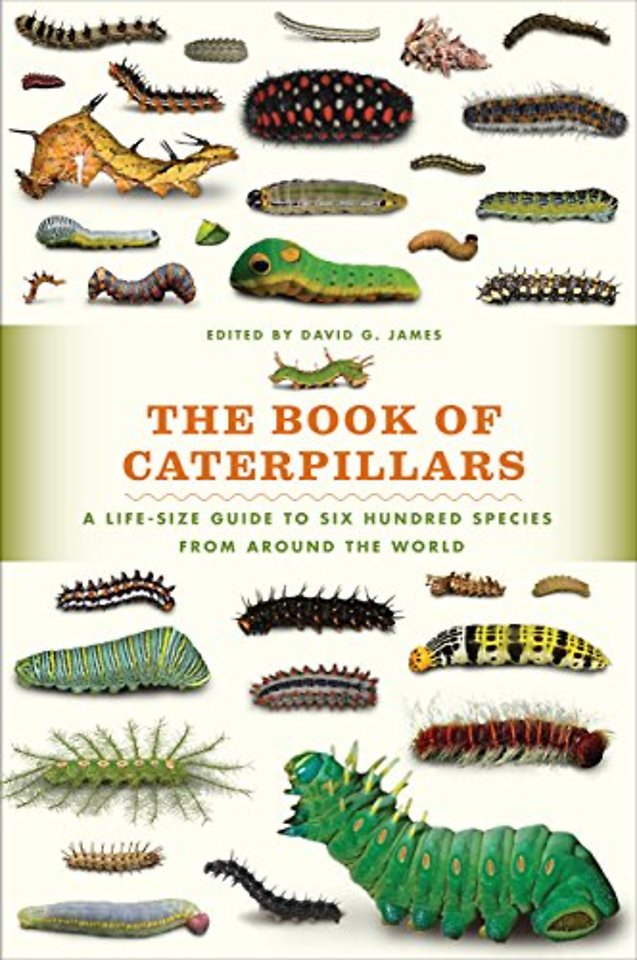 The Book of Caterpillars – A Life–Size Guide to Six Hundred Species from around the World