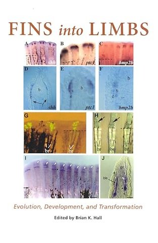 Fins into Limbs – Evolution, Development, and Transformation