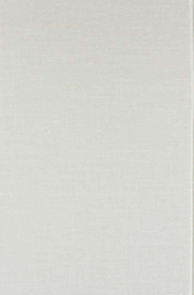 Metrical Stress Theory