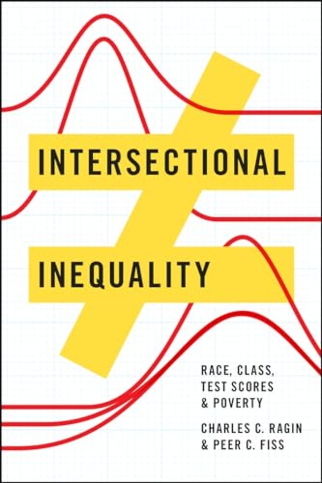 Intersectional Inequality