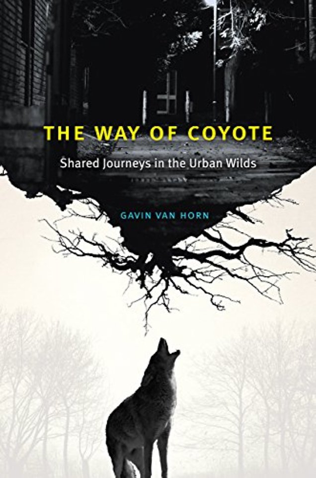 The Way of Coyote