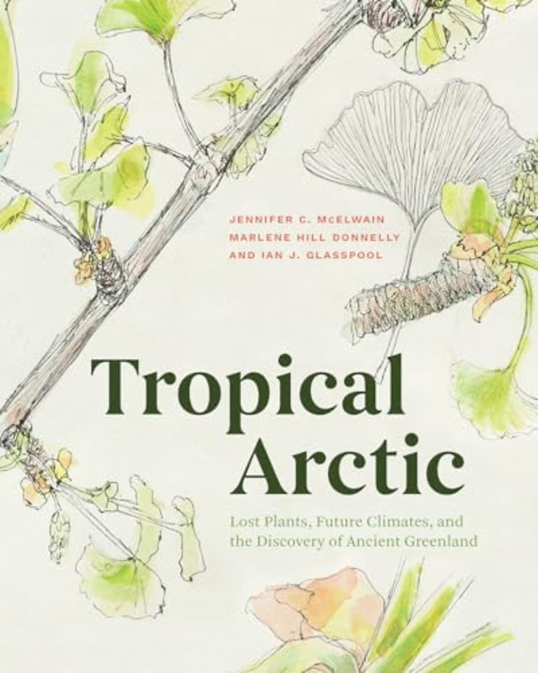 Tropical Arctic