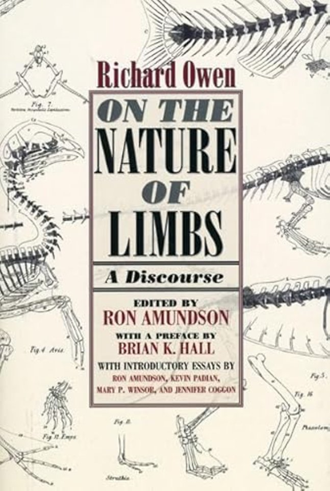 On the Nature of Limbs