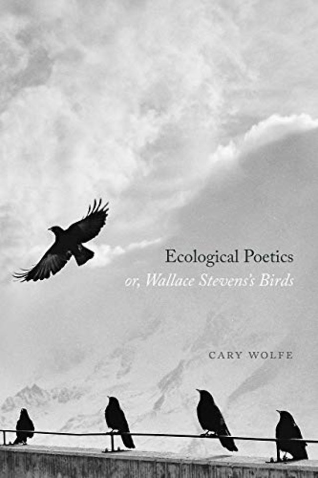 Ecological Poetics; or, Wallace Stevens′s Birds
