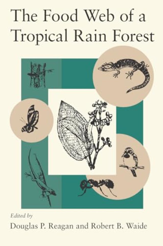 The Food Web of a Tropical Rain Forest