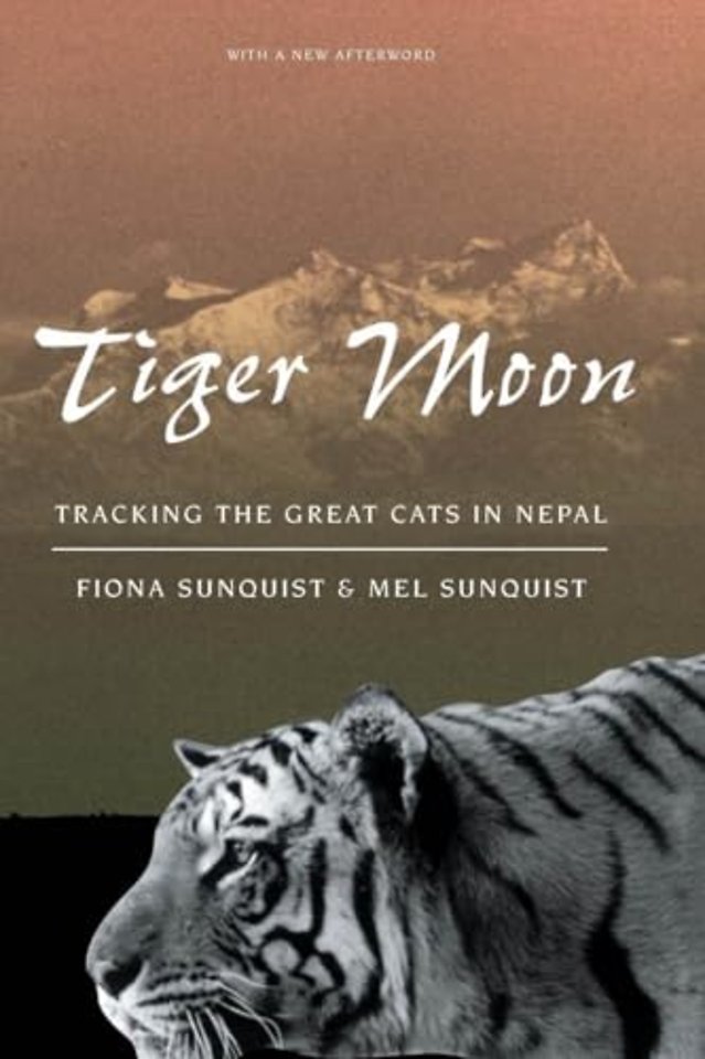 Tiger Moon