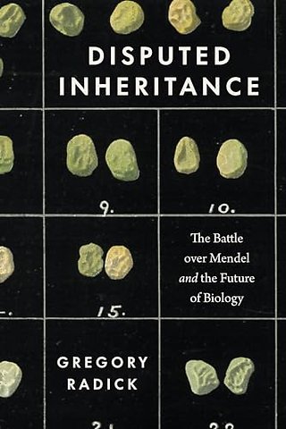 Disputed Inheritance
