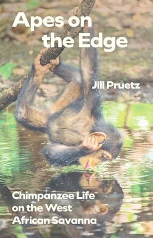 Apes on the Edge – Chimpanzee Life on the West African Savanna