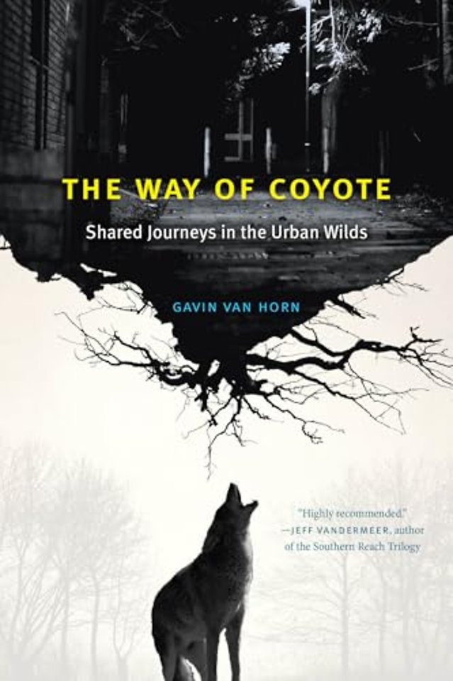 The Way of Coyote