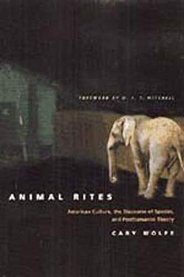 Animal Rites