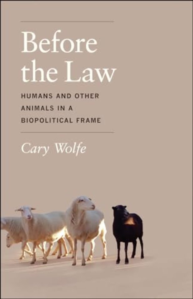 Before the Law – Humans and Other Animals in a Biopolitical Frame