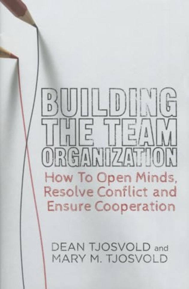 Building the Team Organization