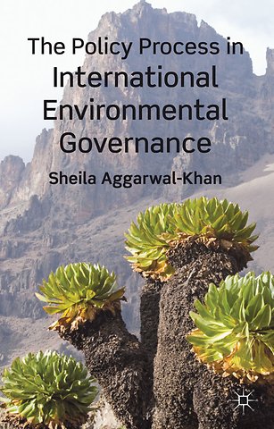The Policy Process in International Environmental Governance