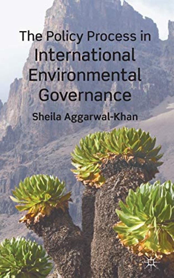 The Policy Process in International Environmental Governance