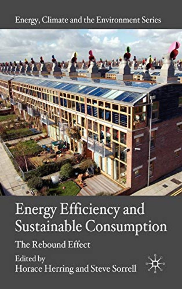 Energy Efficiency and Sustainable Consumption
