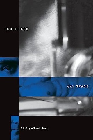 Public Sex/Gay Space (Paper)
