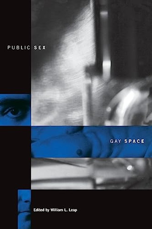 Public Sex/Gay Space (Paper)
