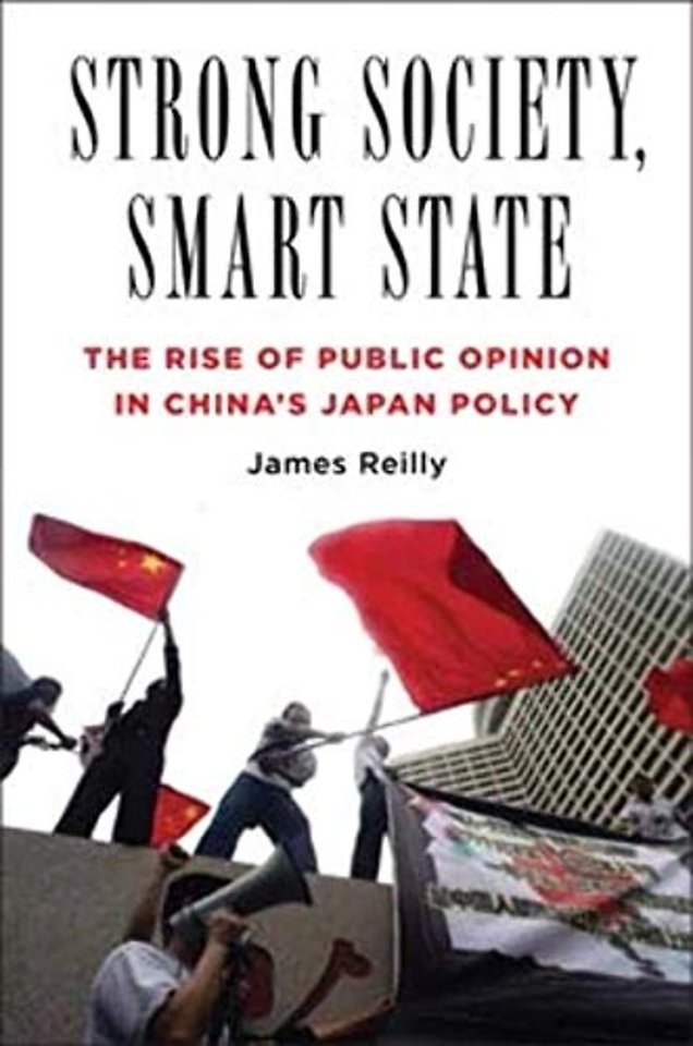 Strong Society, Smart State