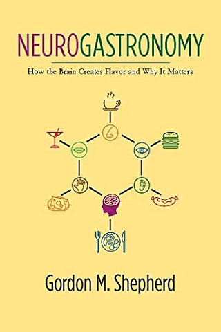Neurogastronomy – How the Brain Creates Flavor and Why it Matters