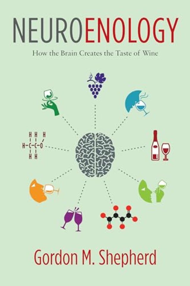 Neuroenology – How the Brain Creates the Taste of Wine
