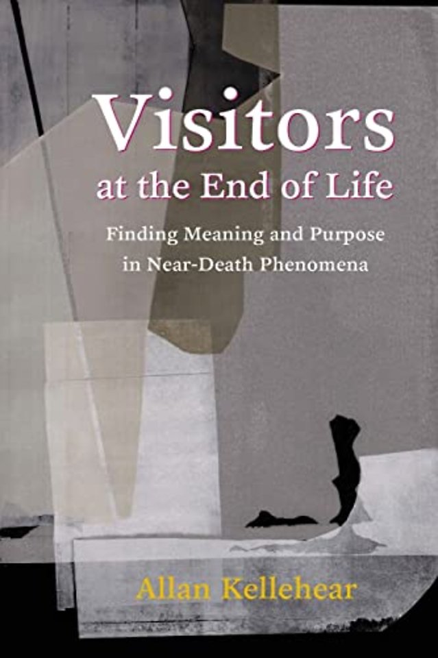 Visitors at the End of Life