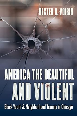 America the Beautiful and Violent