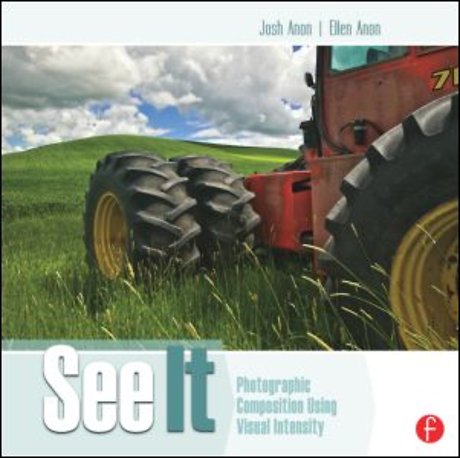 See It: Photographic Composition Using Visual Intensity