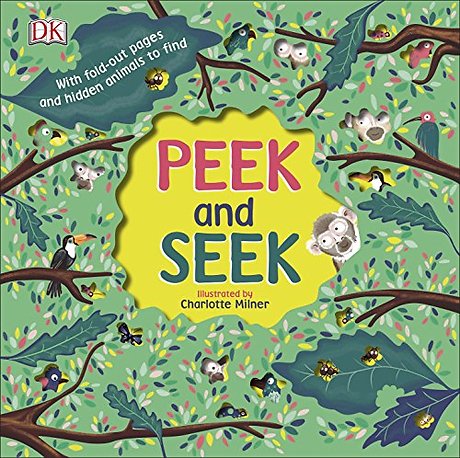 Peek and Seek