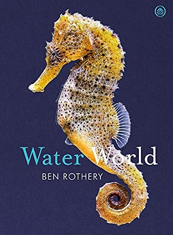 Water World