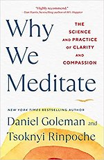 Why We Meditate