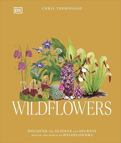 Wildflowers
