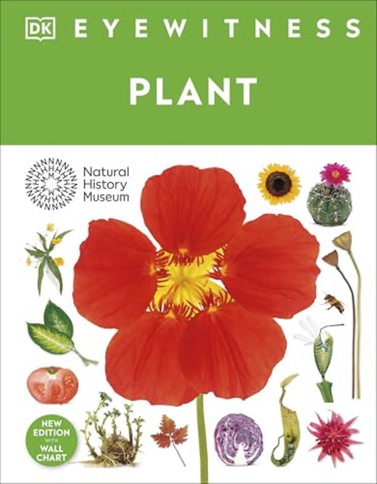 Eyewitness Plant